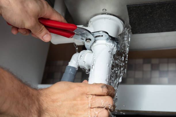 Best Flood restoration services  in Fort Carson, CO