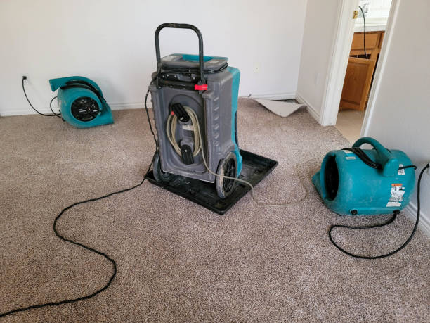Carpet water damage restoration in CO