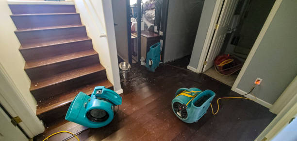 Best Emergency water damage restoration  in Fort Carson, CO