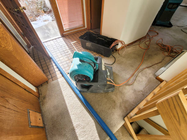 Best Flood damage cleanup  in Fort Carson, CO