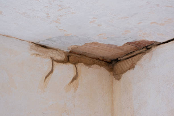 Best Carpet water damage restoration  in Fort Carson, CO