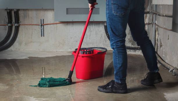 Best Water damage contractors near me  in Fort Carson, CO