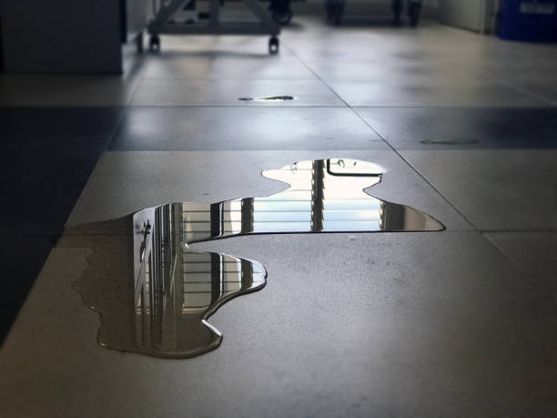 Sewage cleanup and water damage restoration in CO