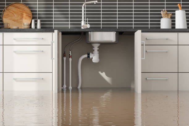 Best Water damage cleanup near me  in Fort Carson, CO