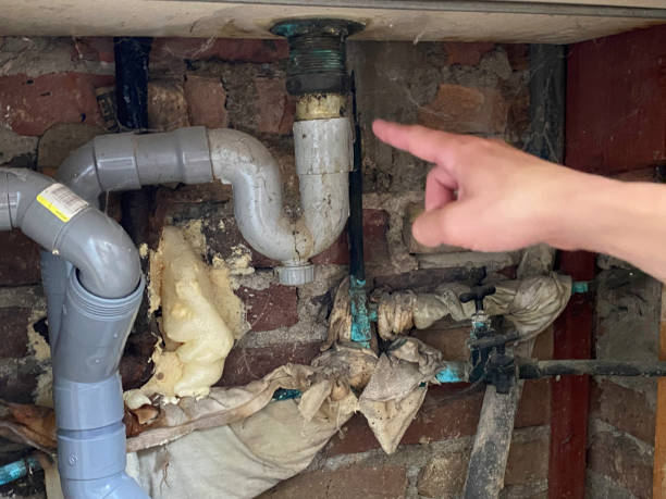 Best Fire Damage Restoration  in Fort Carson, CO