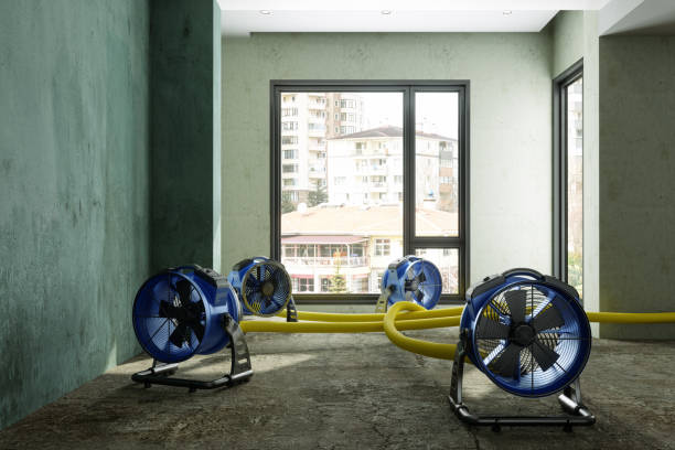 Best Basement water damage restoration  in Fort Carson, CO
